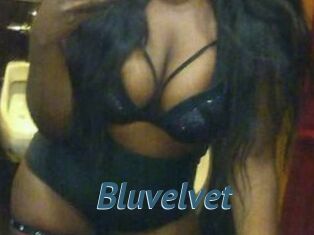Bluvelvet