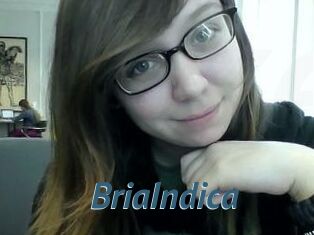 BriaIndica