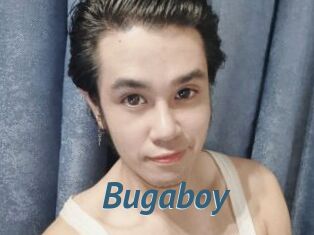 Bugaboy