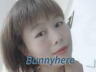 Bunnyhere