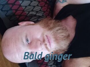 Bald_ginger