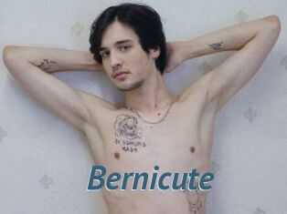 Bernicute