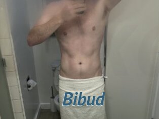 Bibud