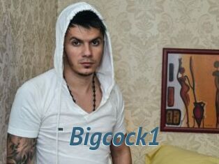 Bigcock1