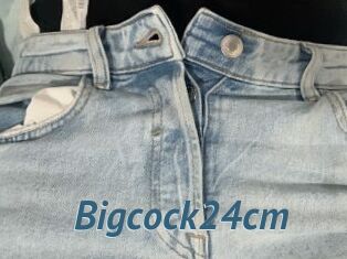 Bigcock24cm