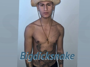 bigdicksnake Sexe Fr