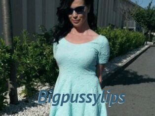 Bigpussylips