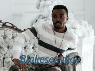 Blakesexyboy