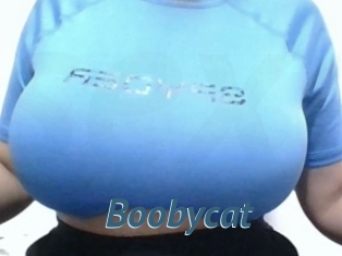 Boobycat