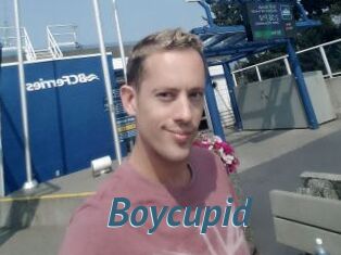 Boycupid