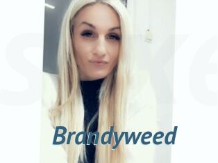 Brandyweed
