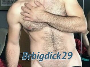 Brbigdick29