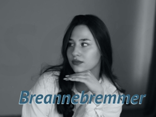 Breannebremmer
