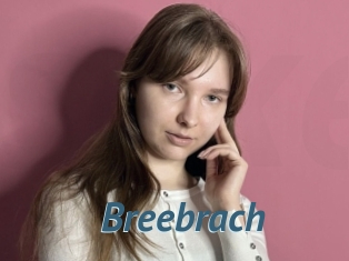 Breebrach