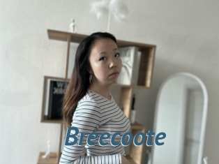 Breecoote