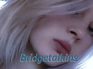 Bridgetalkins