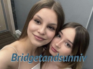 Bridgetandsunniv