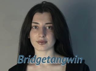 Bridgetangwin