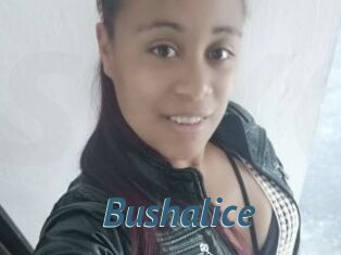 Bushalice