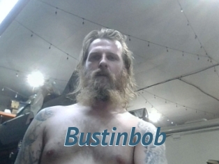 Bustinbob