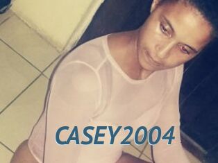 CASEY2004