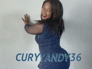 CURYYANDY36