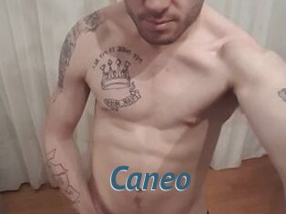 Caneo