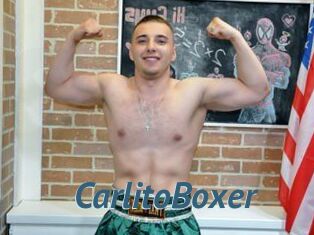 CarlitoBoxer