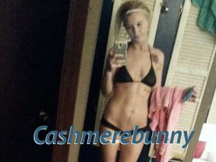 Cashmerebunny