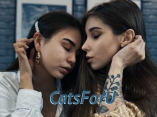 CatsForU