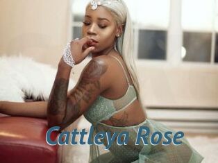 Cattleya_Rose