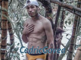 CedricGovea