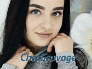 ChatSauvage