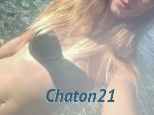 Chaton21