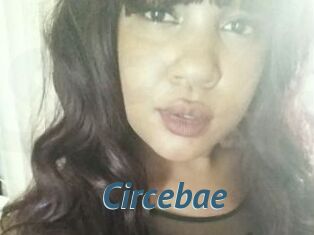 Circebae