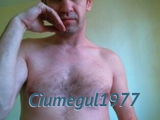 Ciumegul1977