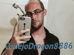 ConejoDragon8886