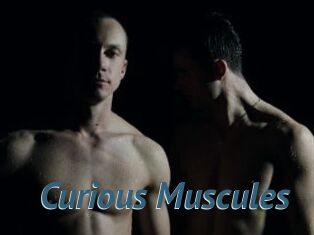 Curious_Muscules