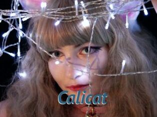 Calicat