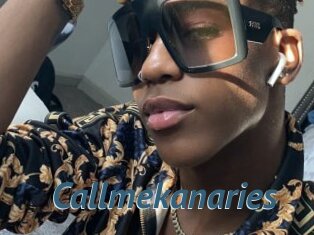 Callmekanaries