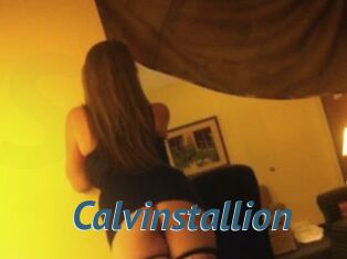 Calvinstallion