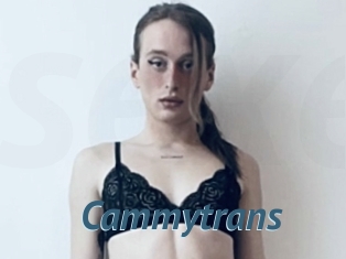 Cammytrans