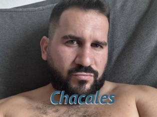 Chacales