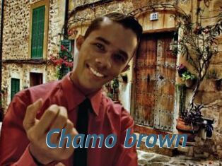 Chamo_brown