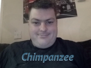 Chimpanzee