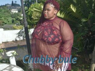 Chubby_bule