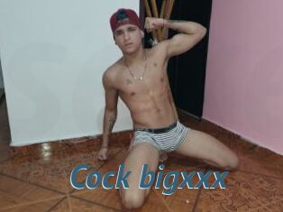 Cock_bigxxx