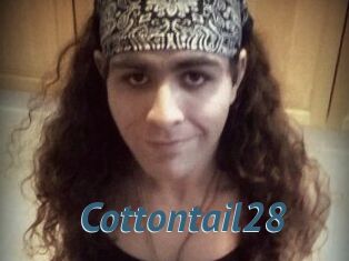 Cottontail28