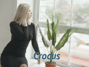 Crocus