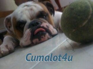 Cumalot4u